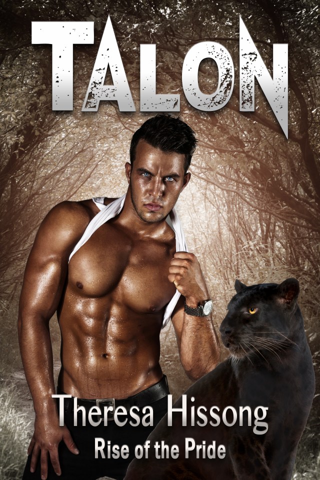 Talon Cover Ebook